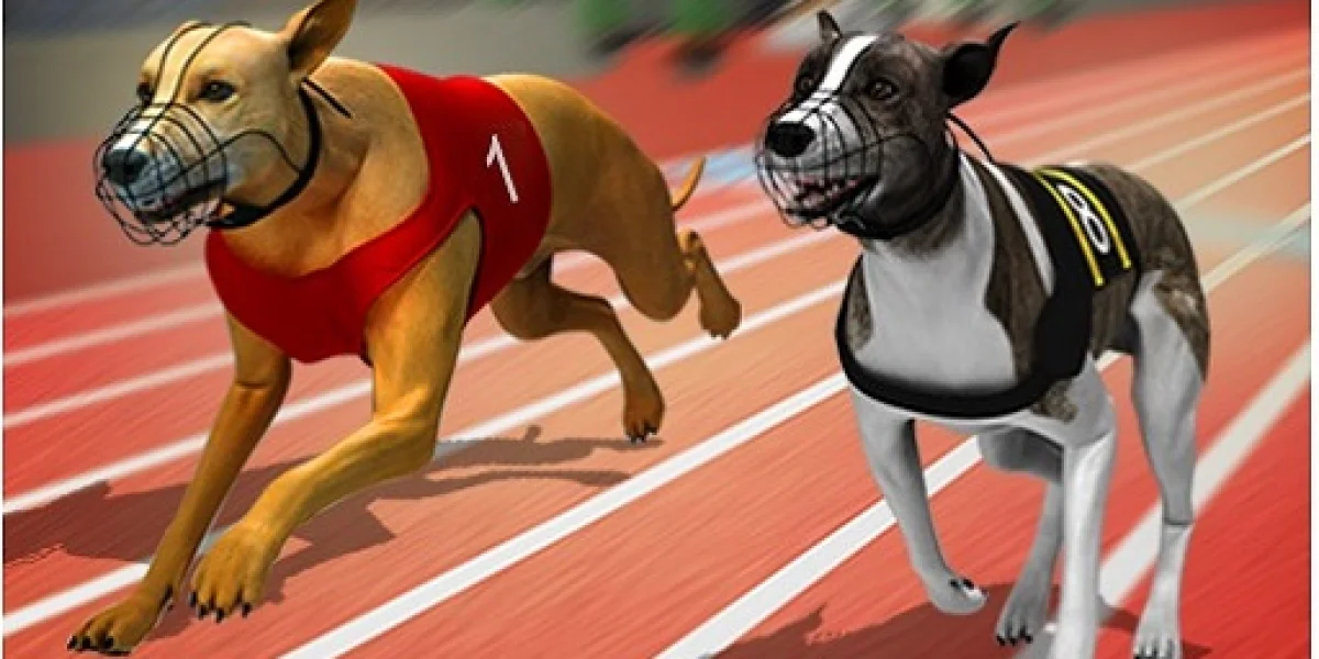 Racing Frenzy: crazy games free online games image