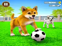 My Virtual Dog Care background