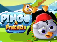 Pingu Friends