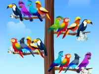 Bird Sort Puzzles background