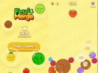 Watermelon Fruit 2048 background
