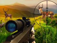 Wild Hunter Sniper Buck background