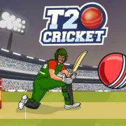 T20 Cricket Game Online Play image